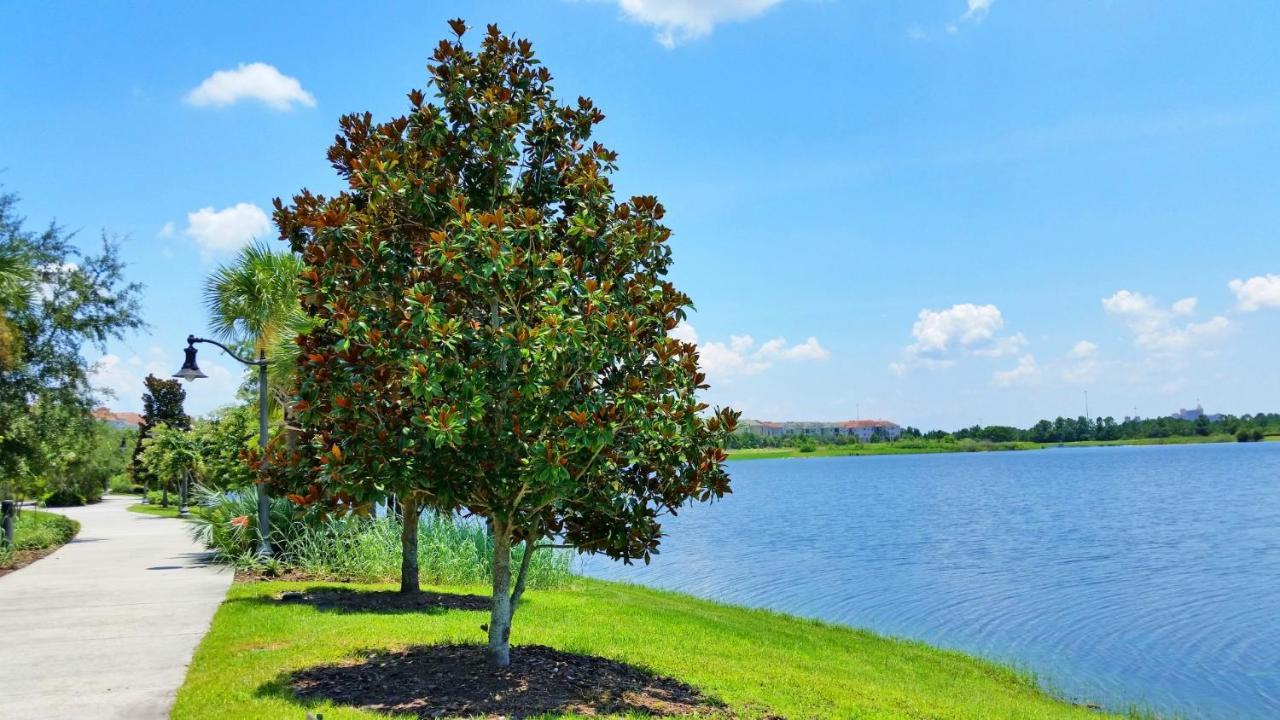 Newly Updated Condo W Scenic Resort View Ορλάντο Εξωτερικό φωτογραφία